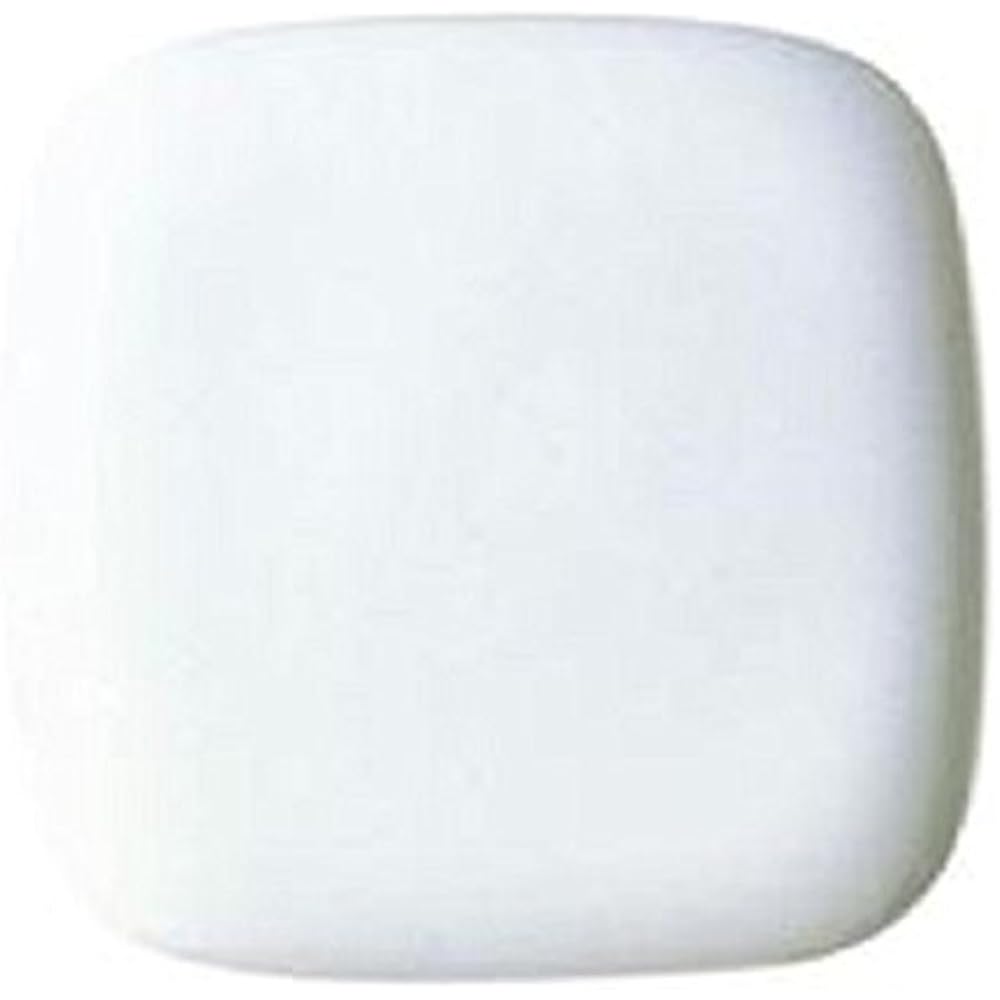 TOTO Wormlet S (heated toilet seat) White TCF116#NW1 [For professionals, no installation tools]