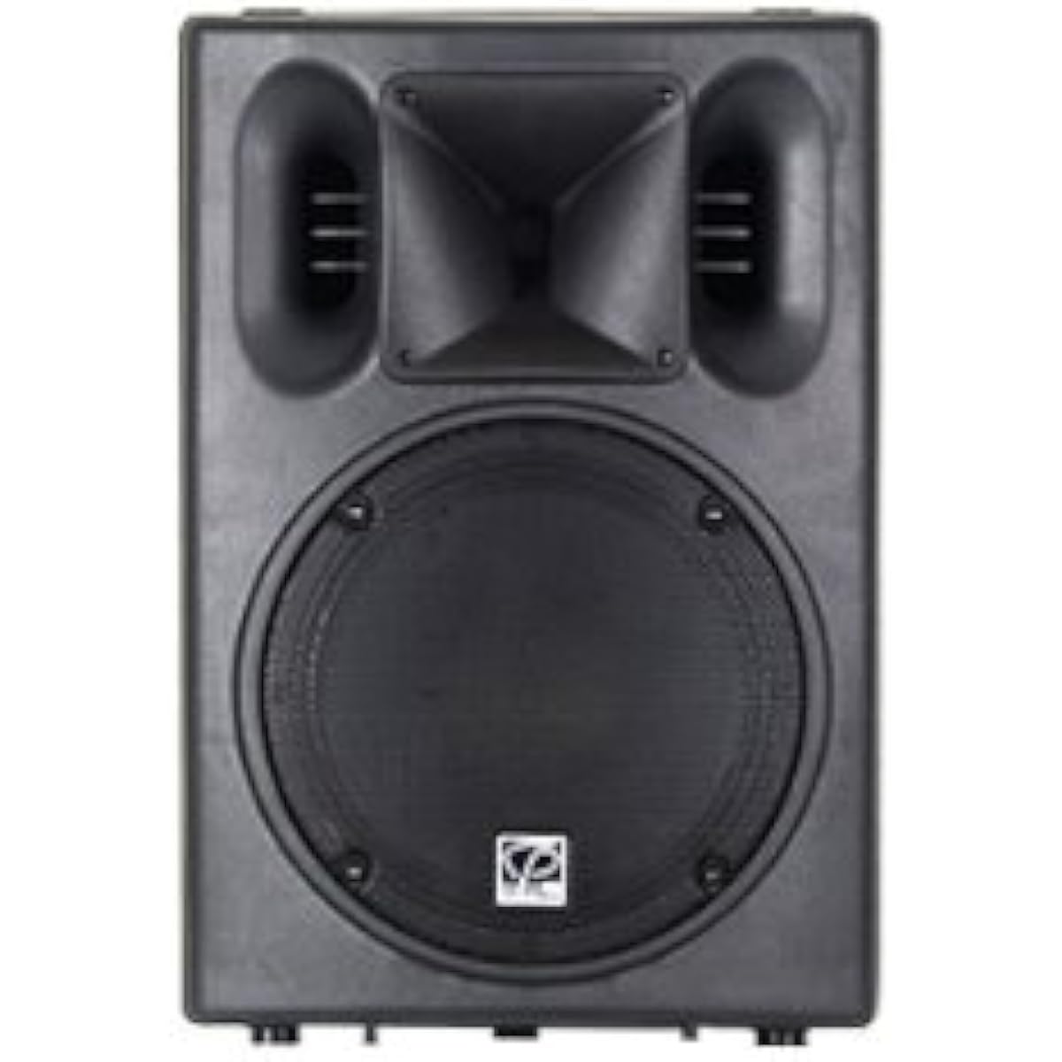 [Domestic regular product] CLASSIC PRO SR speaker CSP12