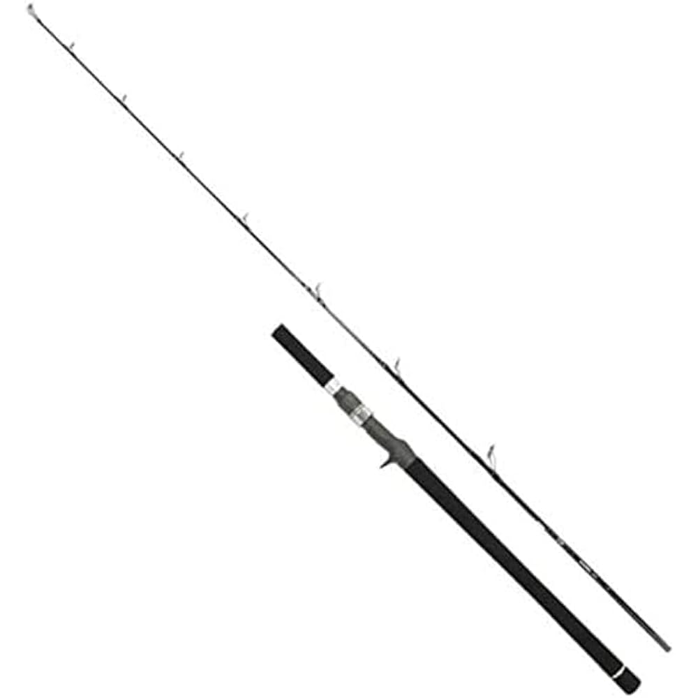 DAIWA jigging rod/casting rod VADEL various