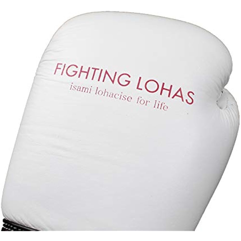 ISAMI Fighting LOHAS Stylish Boxing Gloves FL-108_FL-110