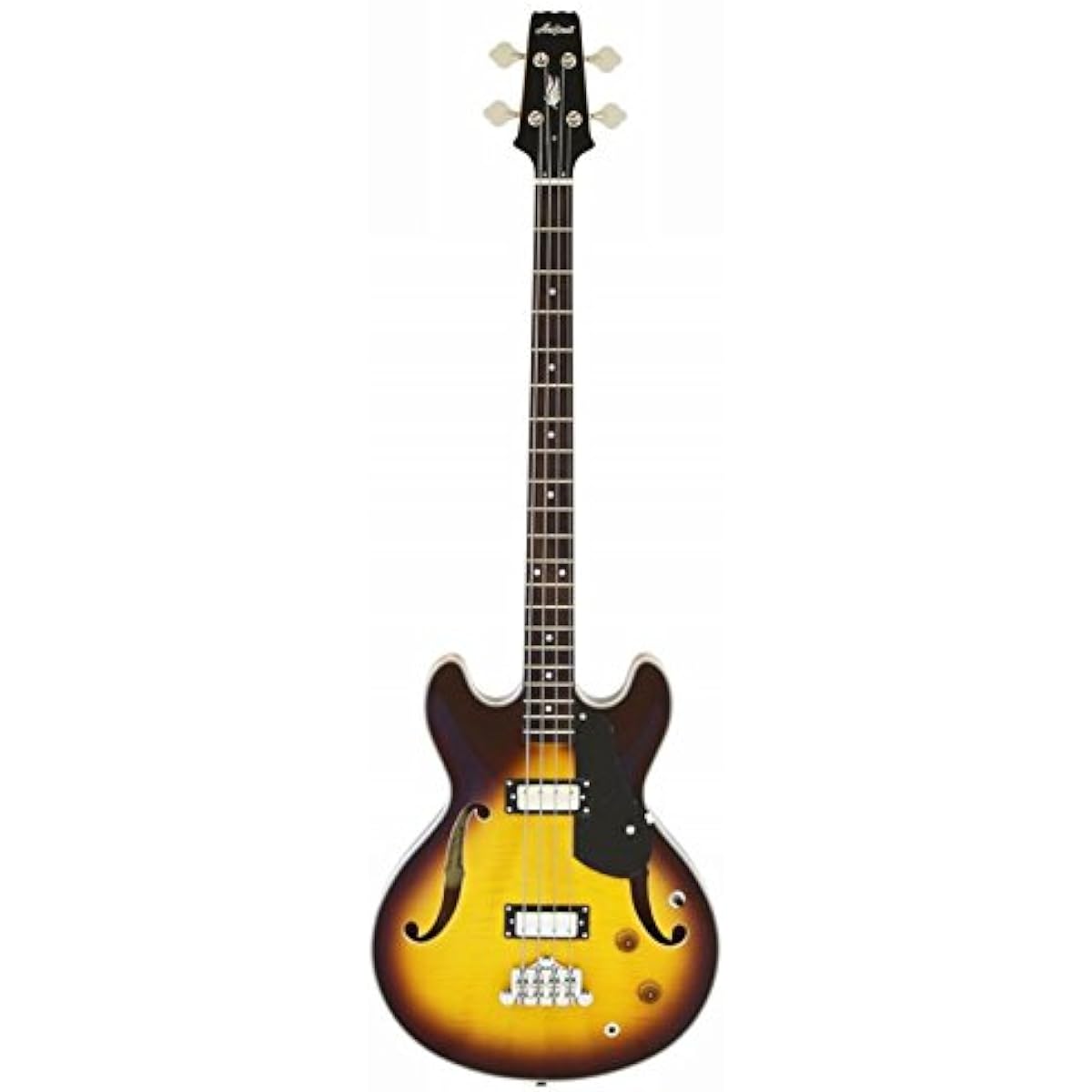 ARIA TAB-Classic/FM BS Semi-hollow/Semi-acoustic bass