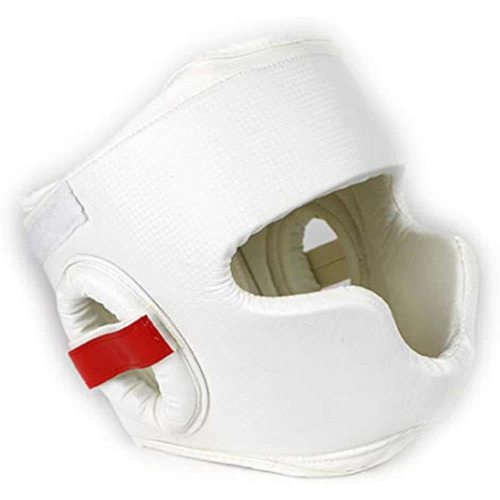 ISAMI Wide View Head Guard II TT-45