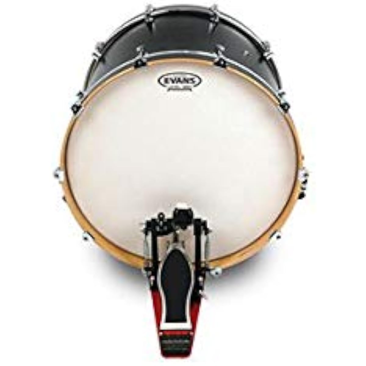 EVANS Drum Head BD22G2CW