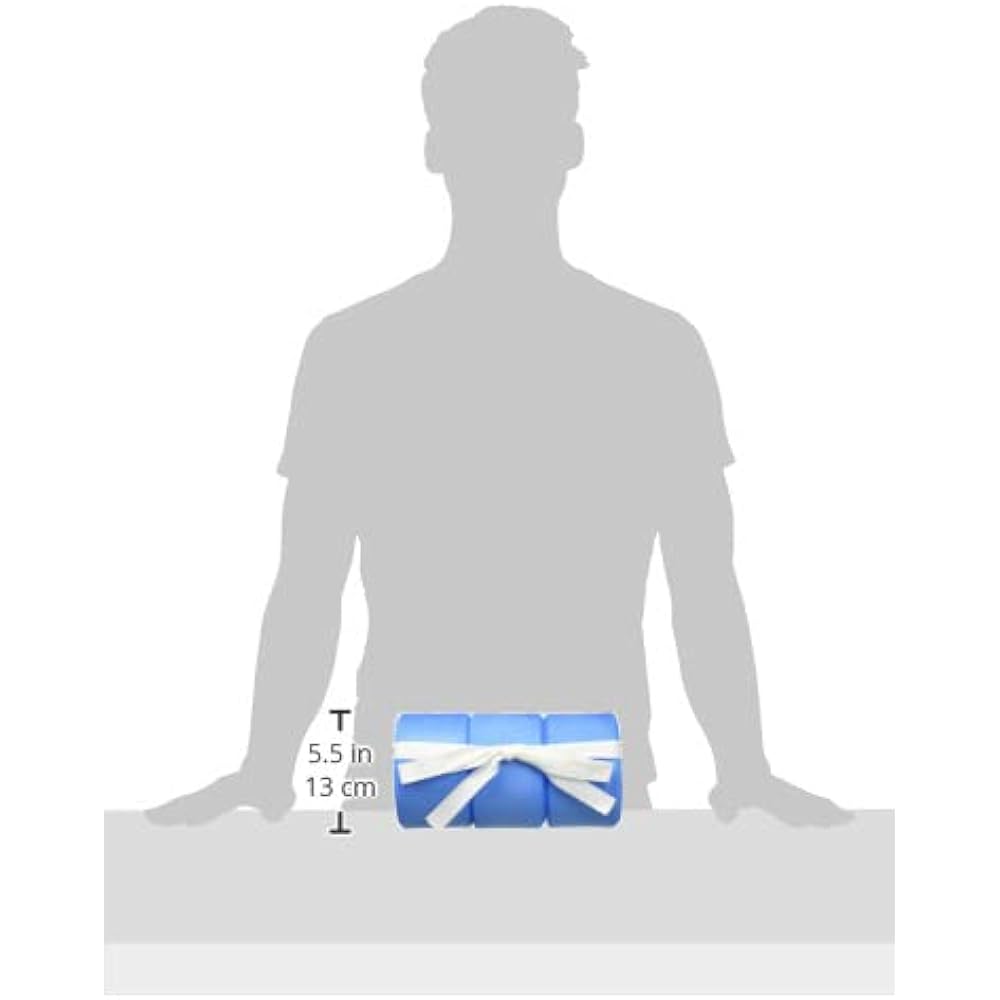 TOEI LIGHT Color Helper B-3319