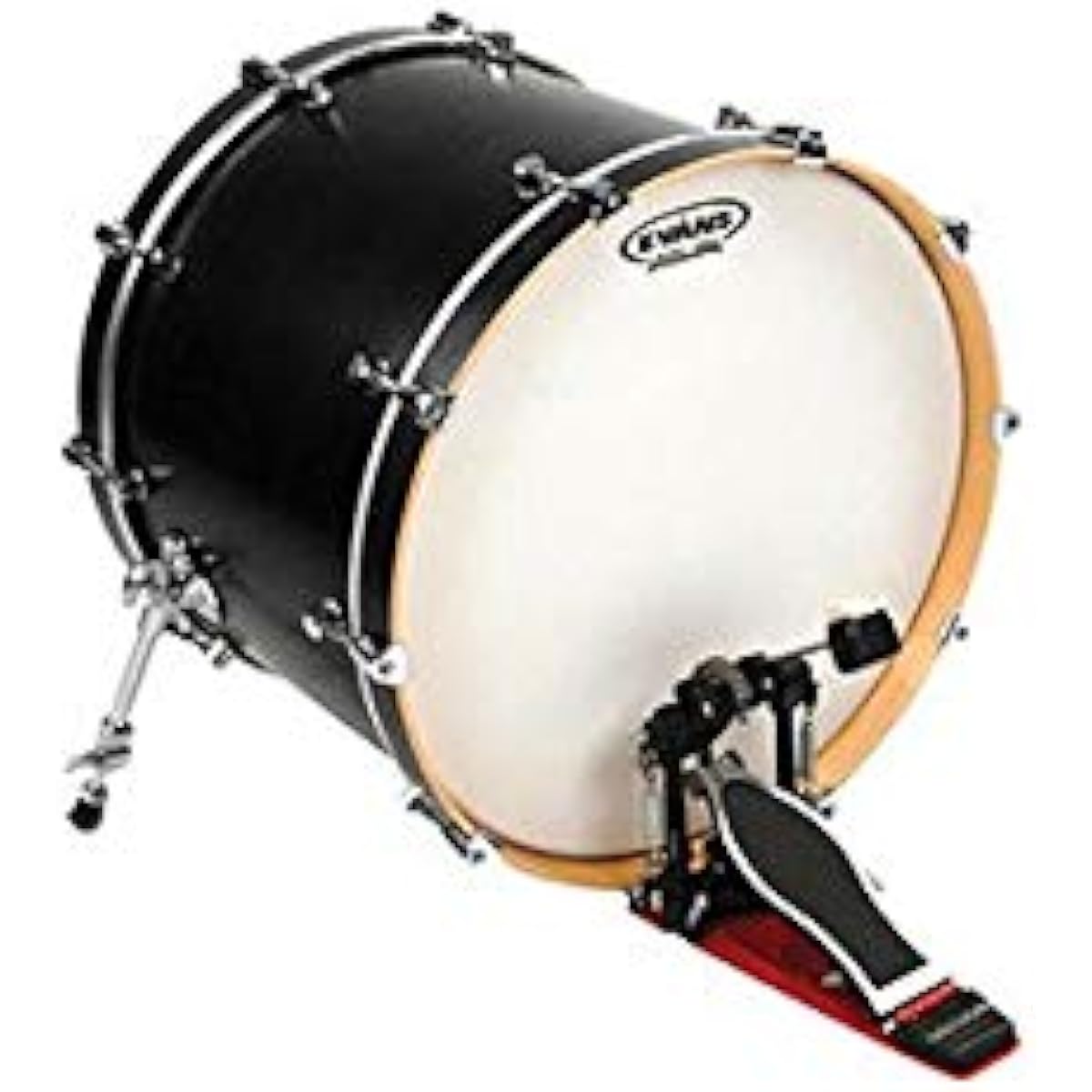EVANS Drum Head BD22G2CW