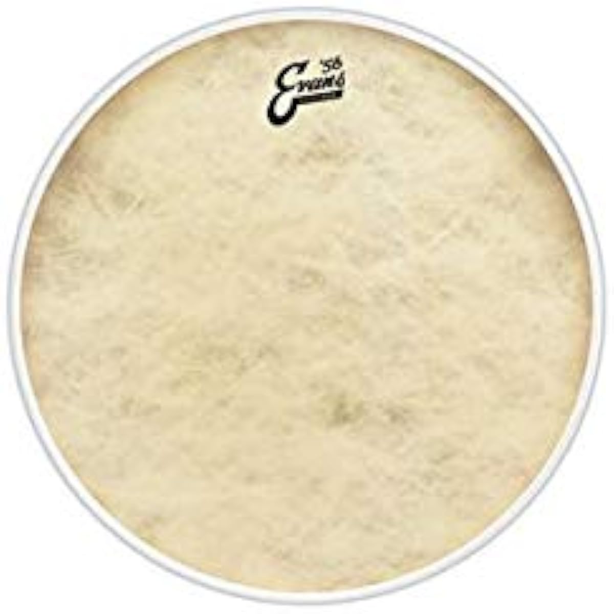 EVANS Drum Head BD22CT