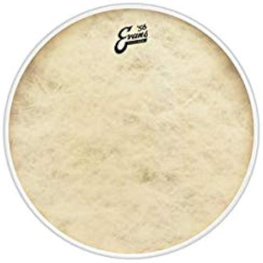 EVANS Drum Head BD20CT