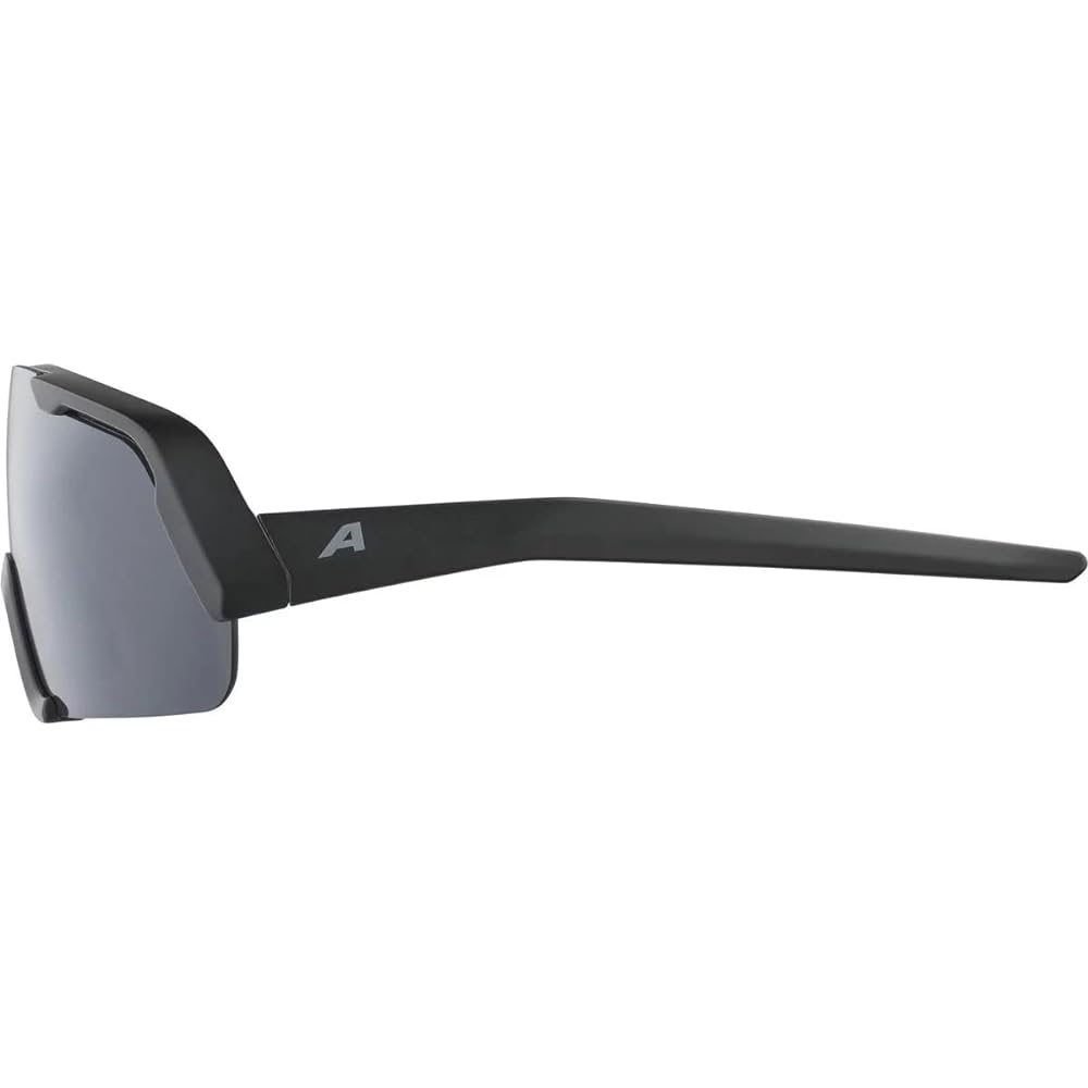 [Alpina] Sunglasses ROCKET YOUTH Kids