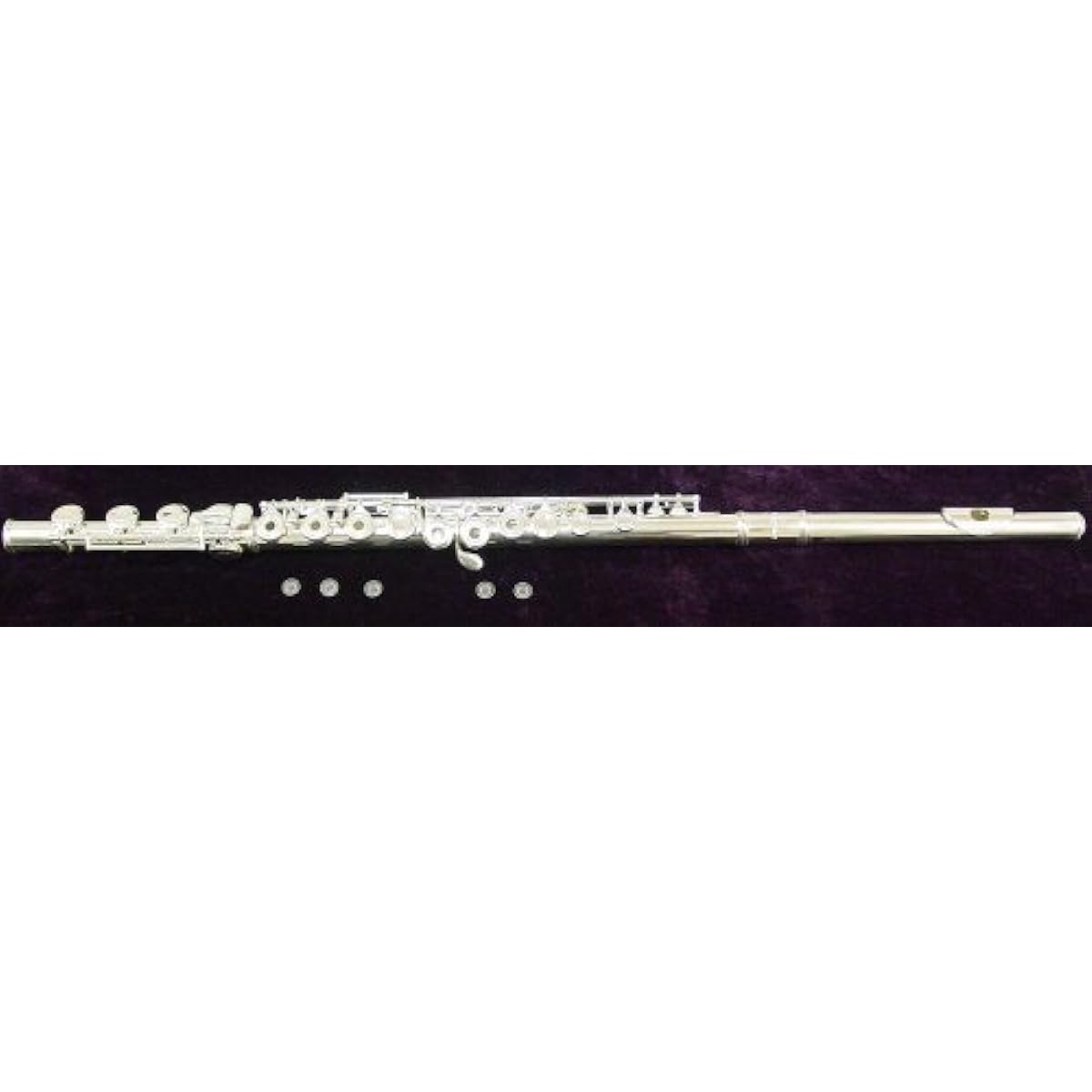 Signature Music 17 Open Hole Silver Low B Flute 2821S