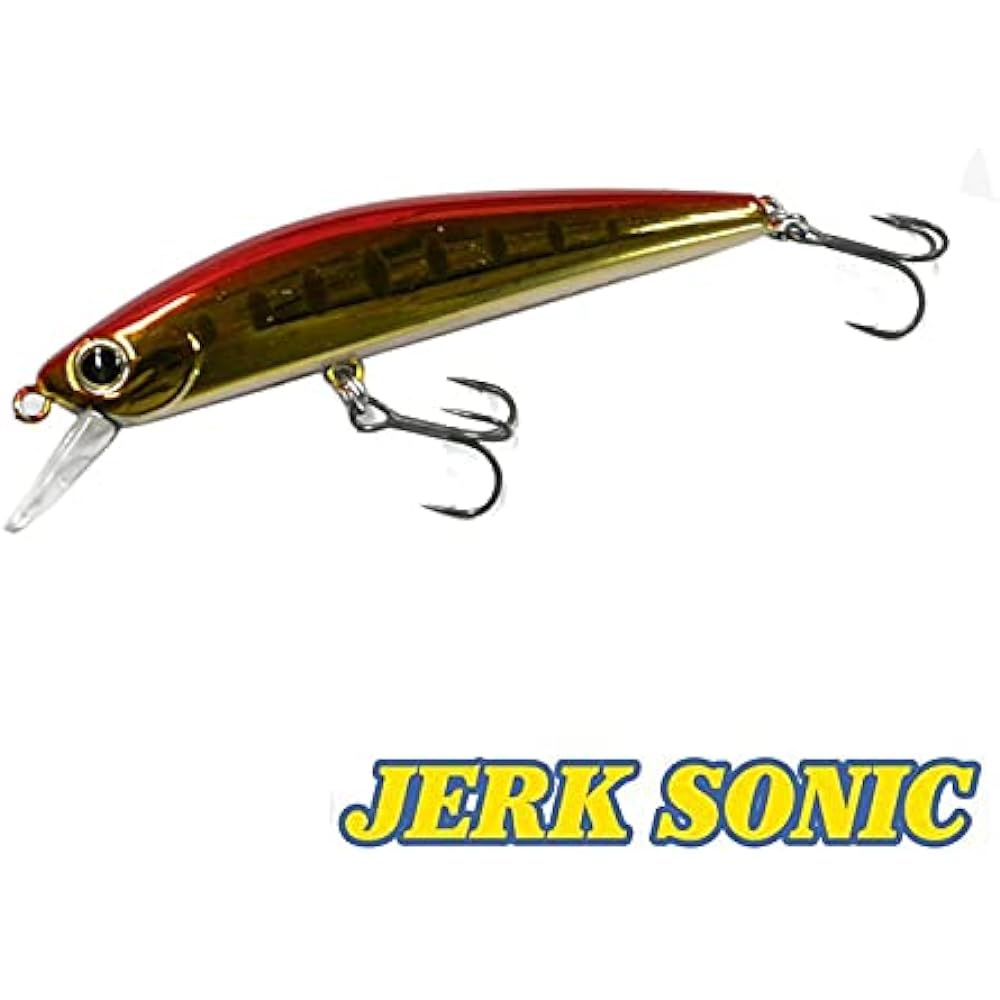 WaterLand Jerk Sonic 65 Heavyweight WaterLand Jerk Sonic [1]