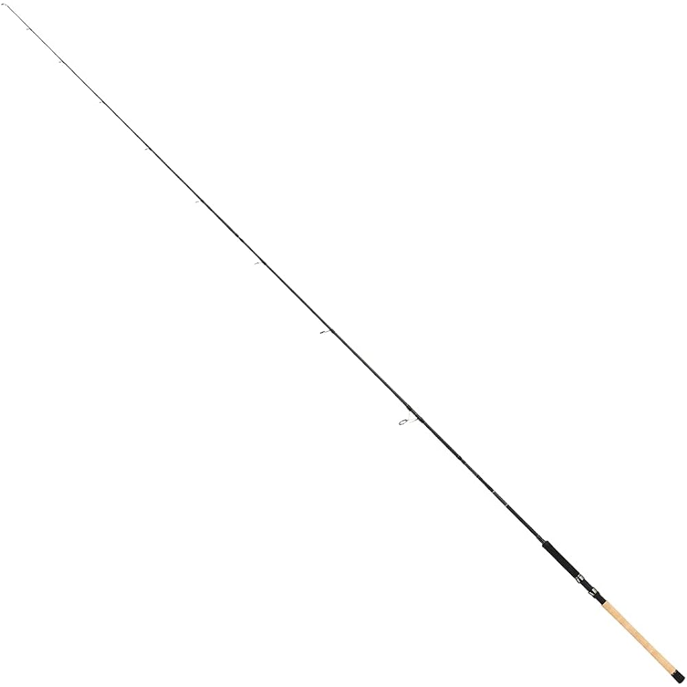Tailwalk Rod KEISON GINSEI PLUS