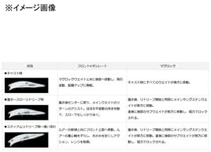 DAIWA Seabass Lure More Than Cross Wake 140FSSR