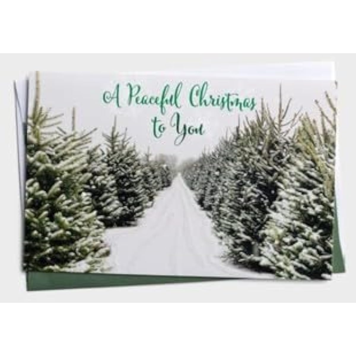 DaySpring Peaceful Christmas to You - Inspirational Christmas Boxed Cards & Envelopes KJV