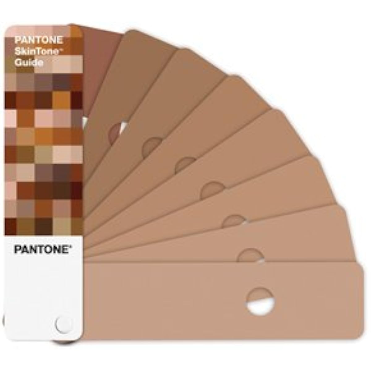 Pantone/Skin Tone Guide [Parallel input product]