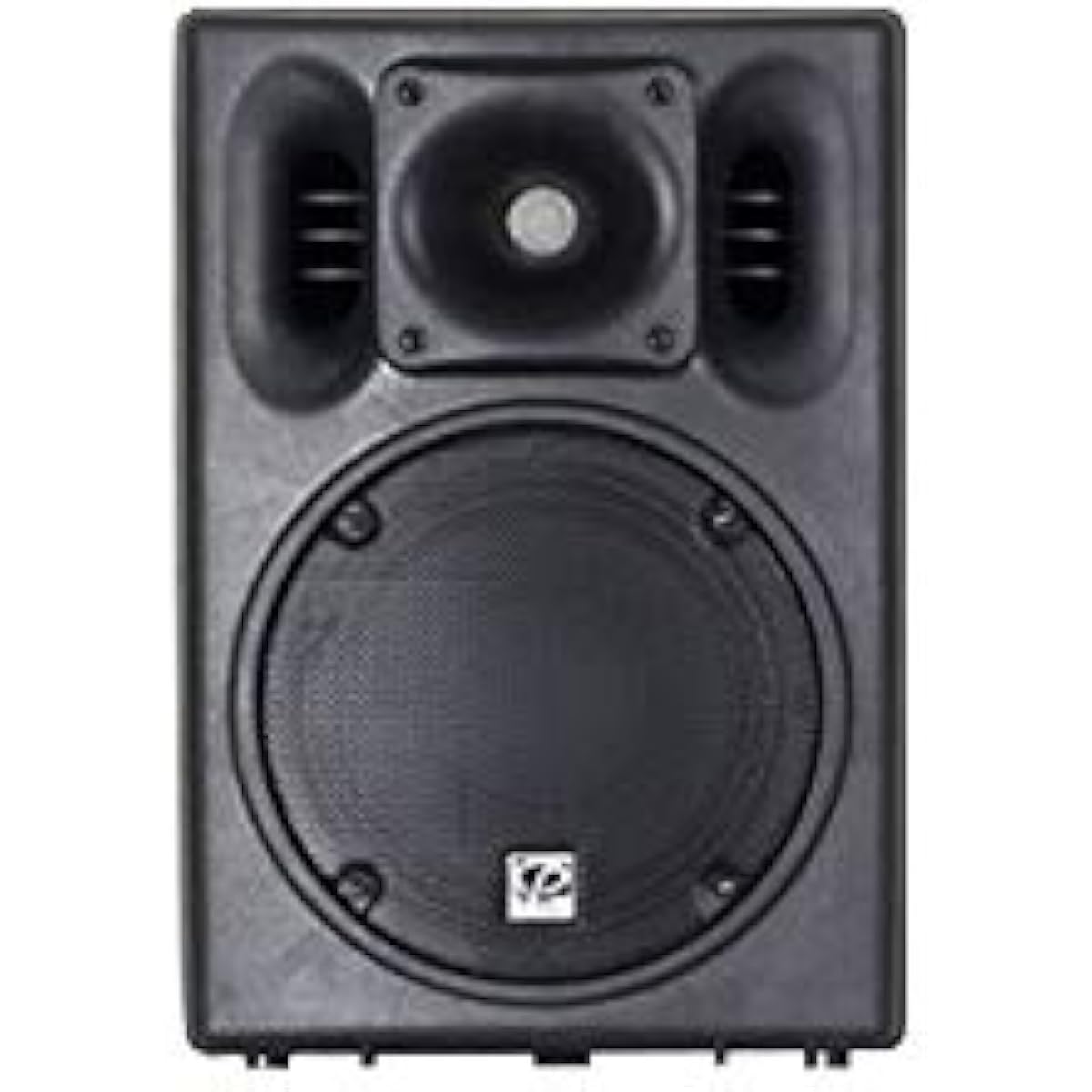 CLASSIC PRO SR Speaker CSP8 PA Speaker