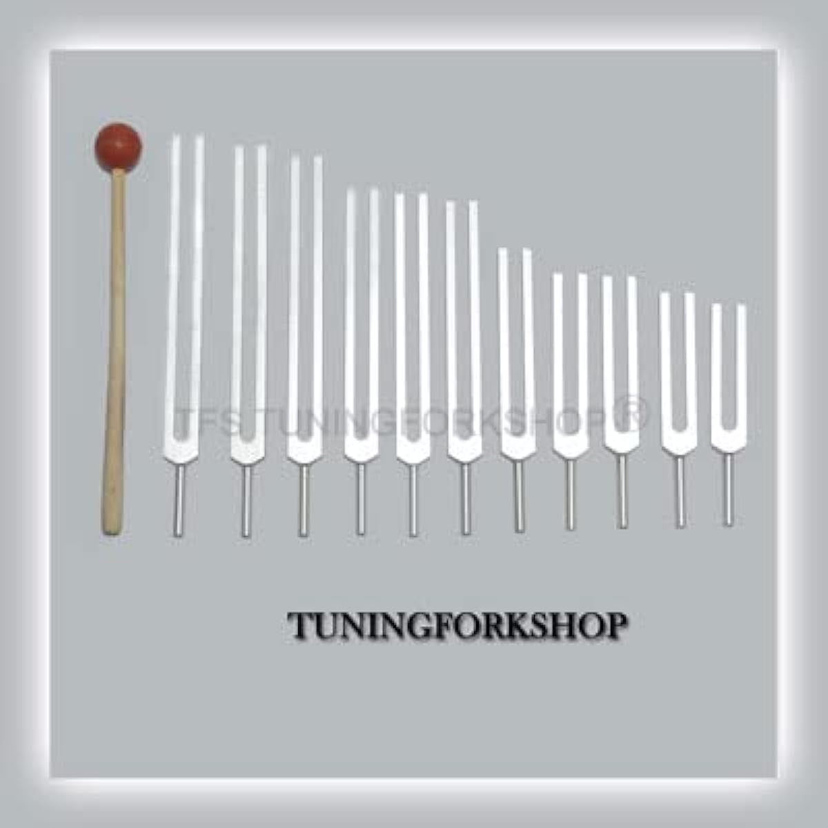 TFS Tuningforkshop 11 Pieces Planetary Tuning Fork for Healing with Mallet & Pouch
