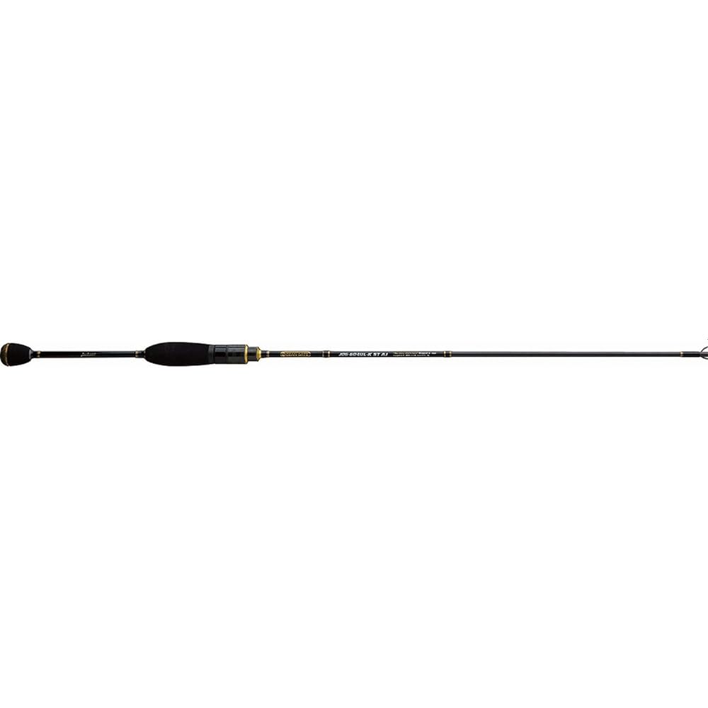 Jackson Ocean Gate