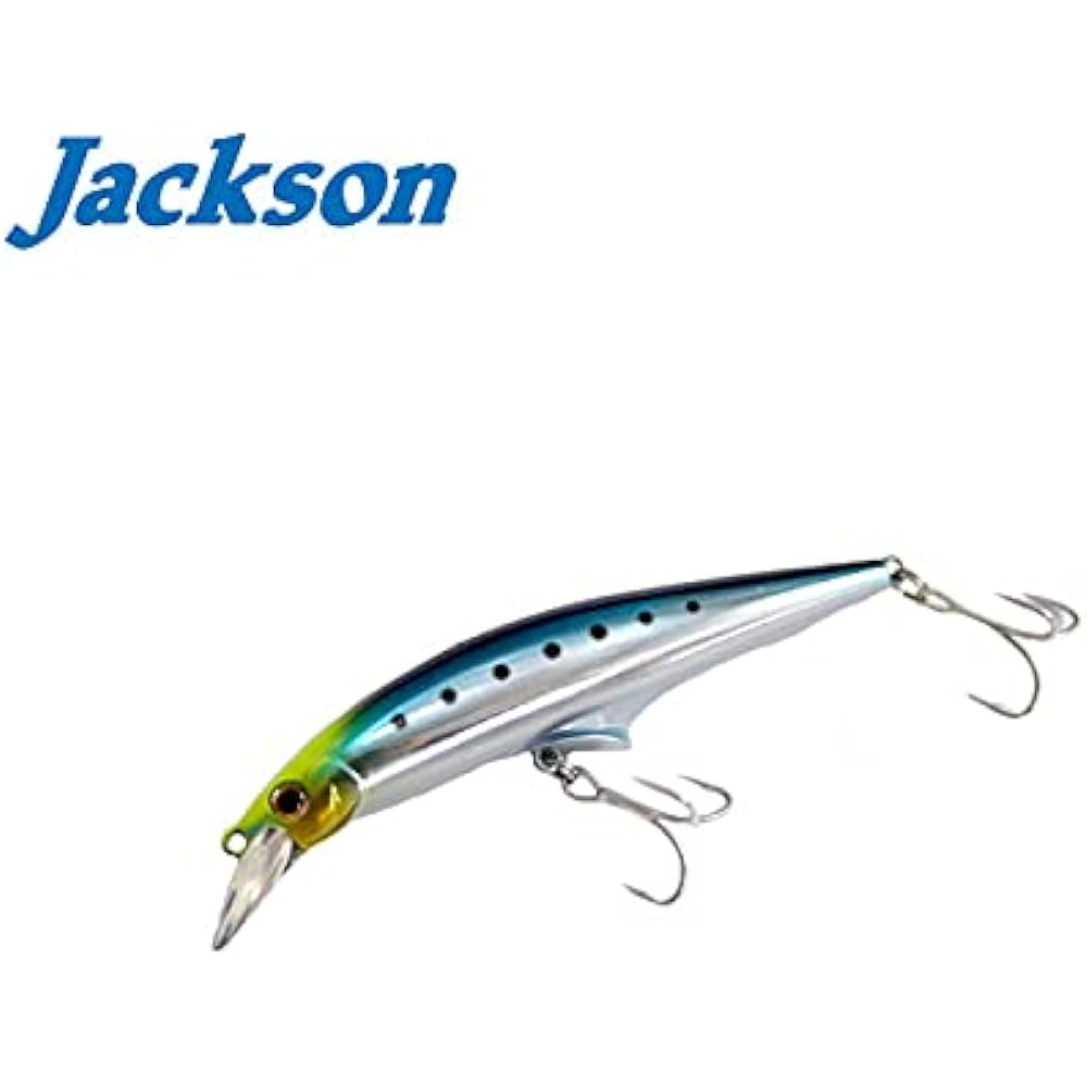 Jackson G Control 28g Taniyama Original Color Skeleton Blue Sardine