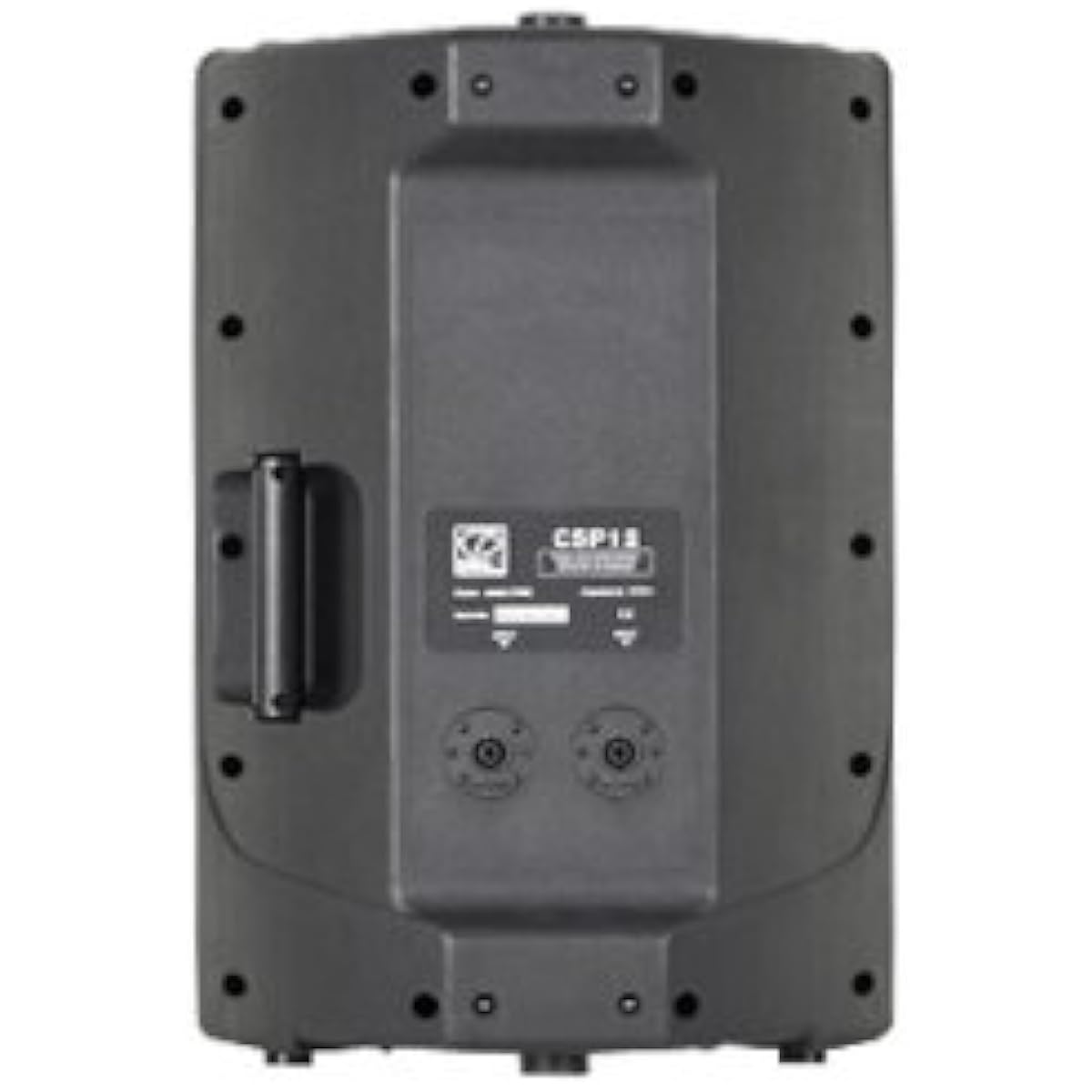 [Domestic regular product] CLASSIC PRO SR speaker CSP12