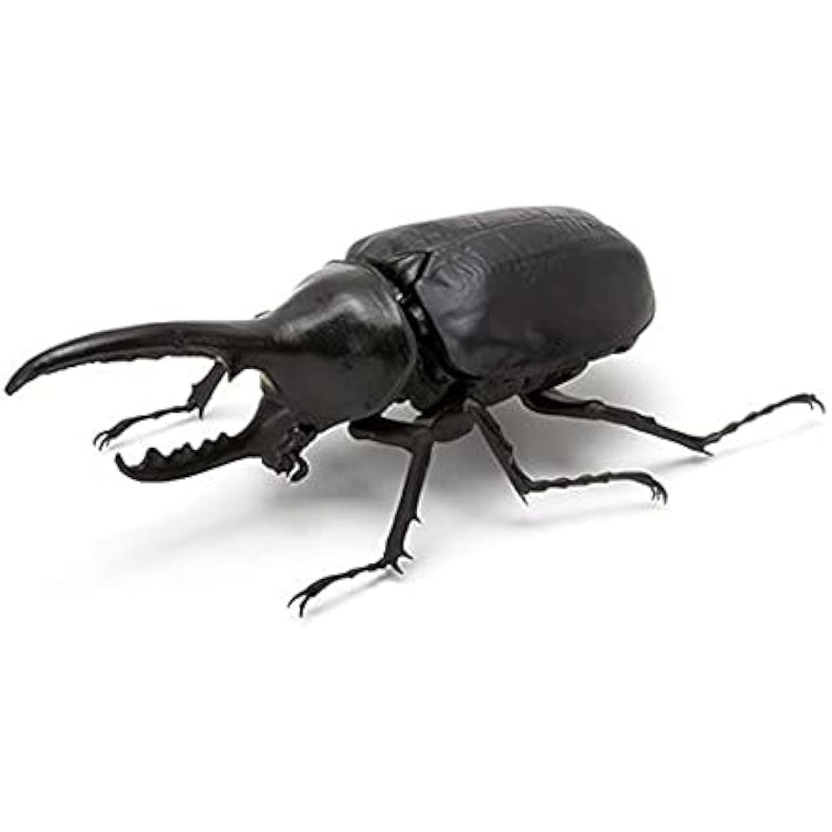 BANDAI Illustrated Encyclopedia of Creatures Beetle [Set of 7 Types (Full Complete)] Gacha Gacha Capsule Toy