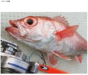 DAIWA Metal Jig Saltiga TG Baitology Lure