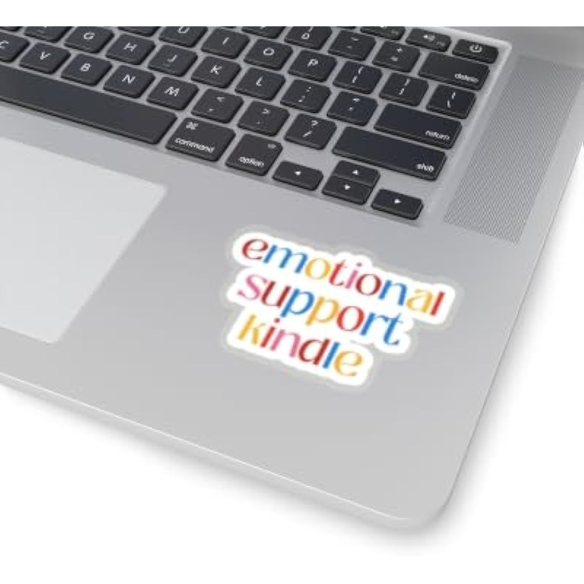 Emotional Support Kindle Stickers, Smut Stickers, Bookworm Stickers, Smutty Reading Stickers, Spicy Reading Stickers, Reading Stickers, Freedom Book Lover Stickers (2")