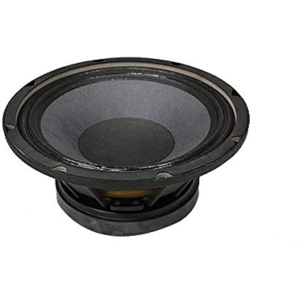 CLASSIC PRO Woofer Unit CPW10II