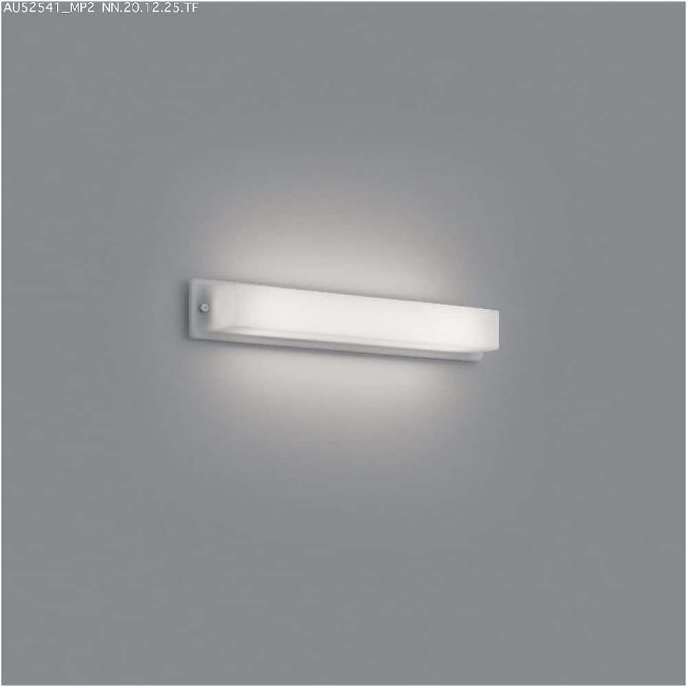 Koizumi LED Wall Light Rainproof Daylight White BU210001B