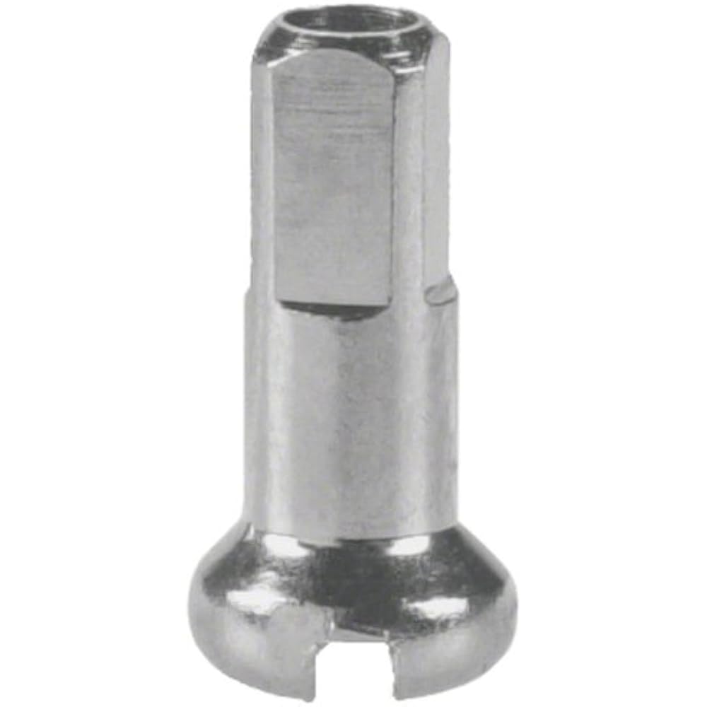 DT SWISS (DT Switzerland) #2.0 Shinchu Nipple 12mm (100 pieces) Nipple