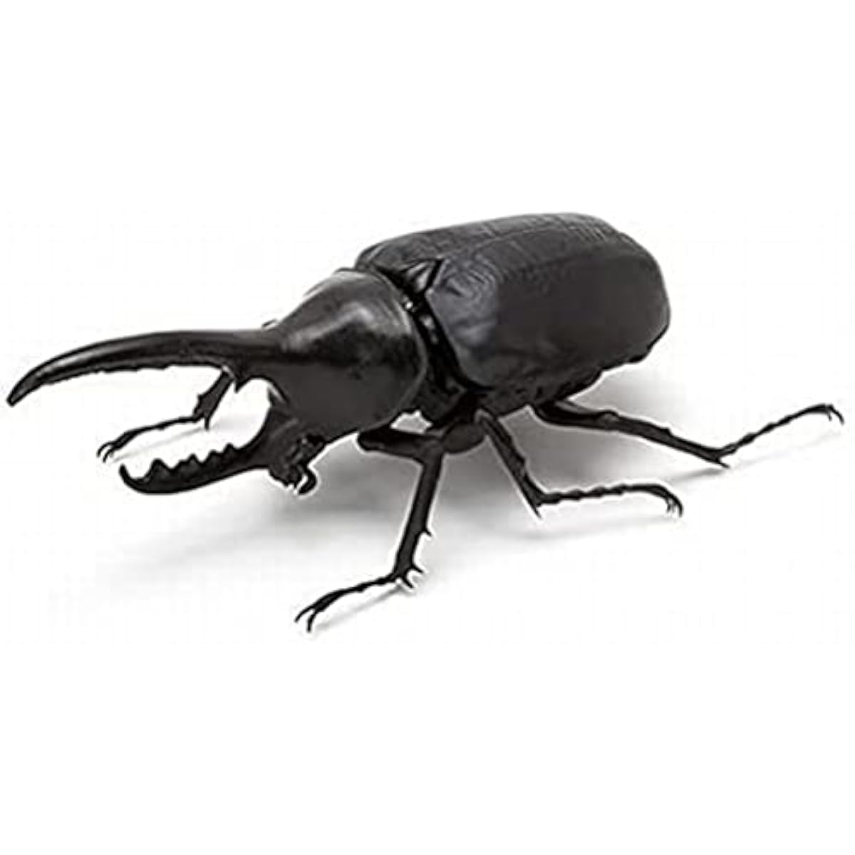 Living Creatures Encyclopedia Rhinoceros Beetle Gachagacha Capsule Toy Complete Set of 7