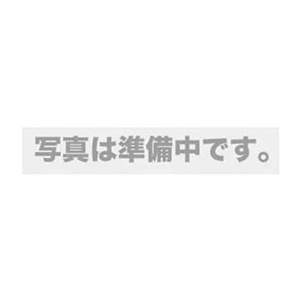 Nitto Kogyo (NiTO) Exposed Type Horizontal Single Row Type Single Phase 2 Wire 4+0 30A HSA2L-40