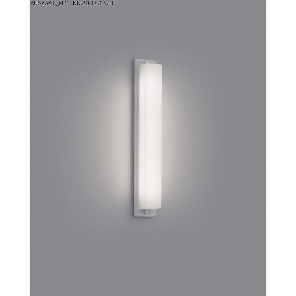 Koizumi LED Wall Light Rainproof Daylight White BU210001B