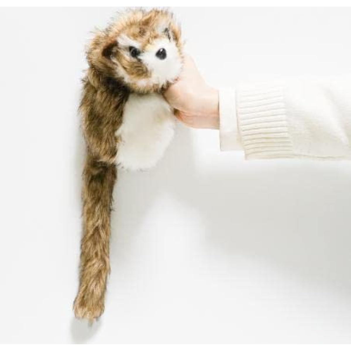 Magic trick, Raccoon Lucky-kun, White face, Spring Pet, Maggie, Magic trick, Cute, Animal, Raccoon, Stuffed toy