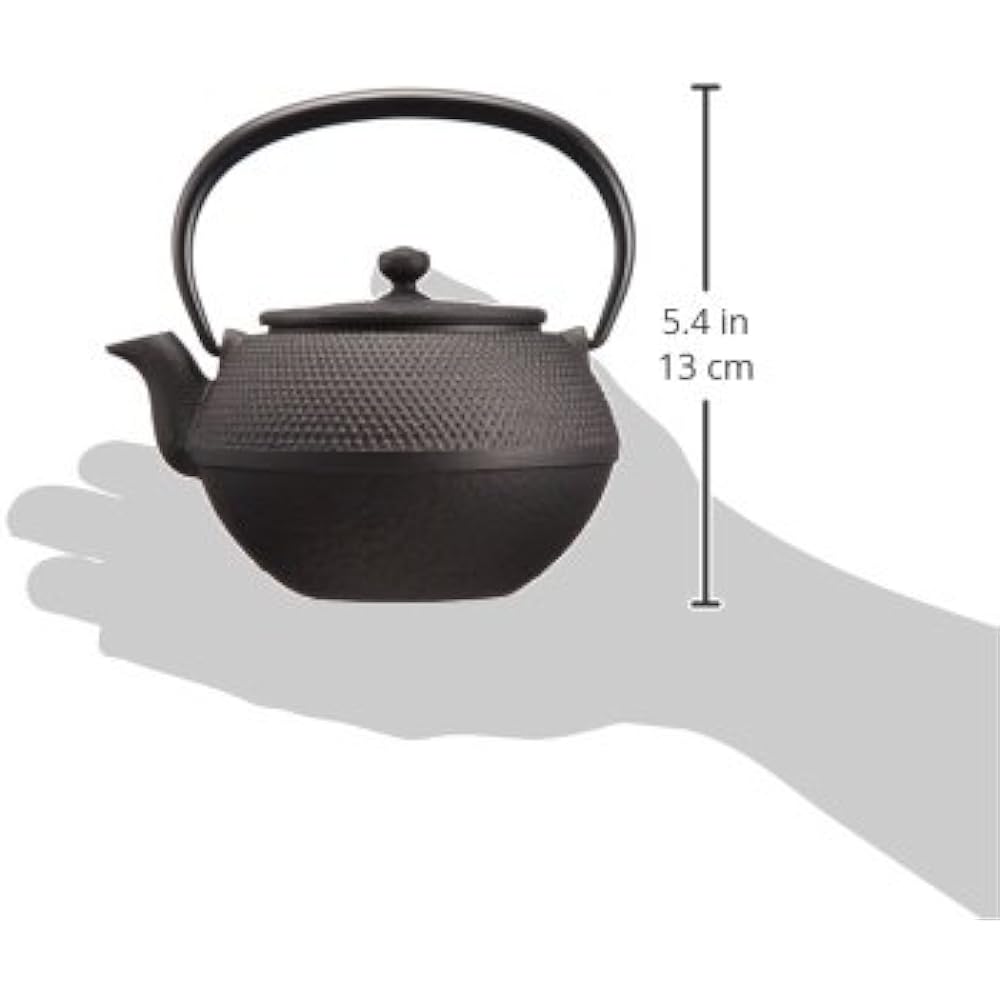 Oigen Nanbu Ironware Seieido Nanbu Ironware Teapot Maromi Arale Small Open Fire E-110S