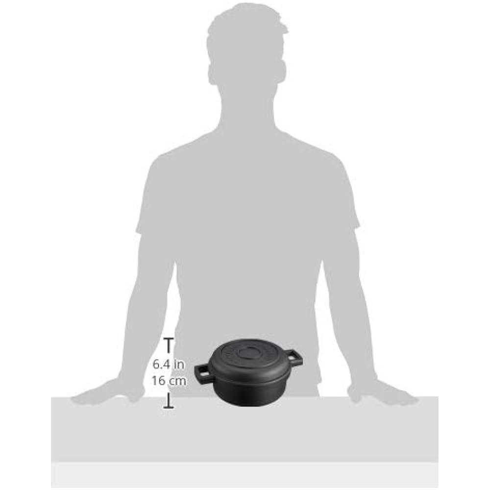 Oigen Nambu Ironware Tamipan Classic IH Compatible F-100