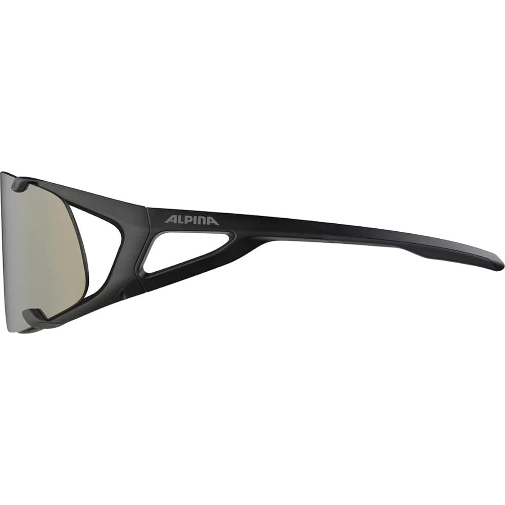 [Alpina] Sports sunglasses/goggles HAWKEYE Q-LITE