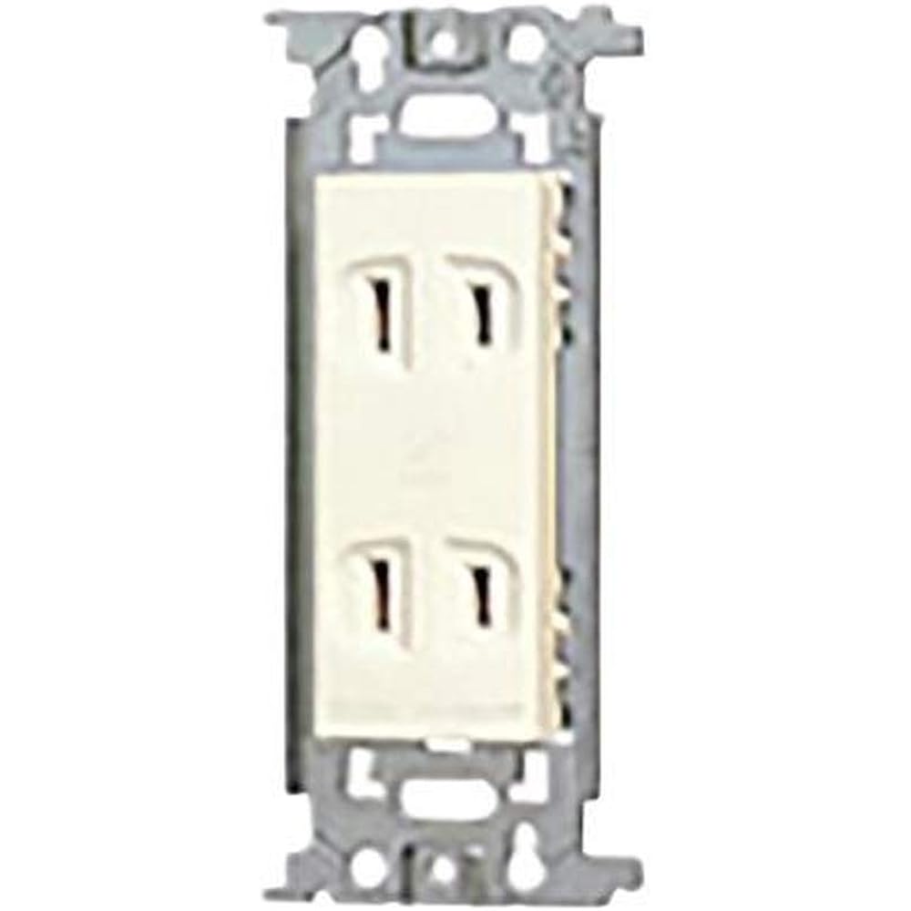 Panasonic (Panasonic) Embedded double outlet 10 pieces WN1302010