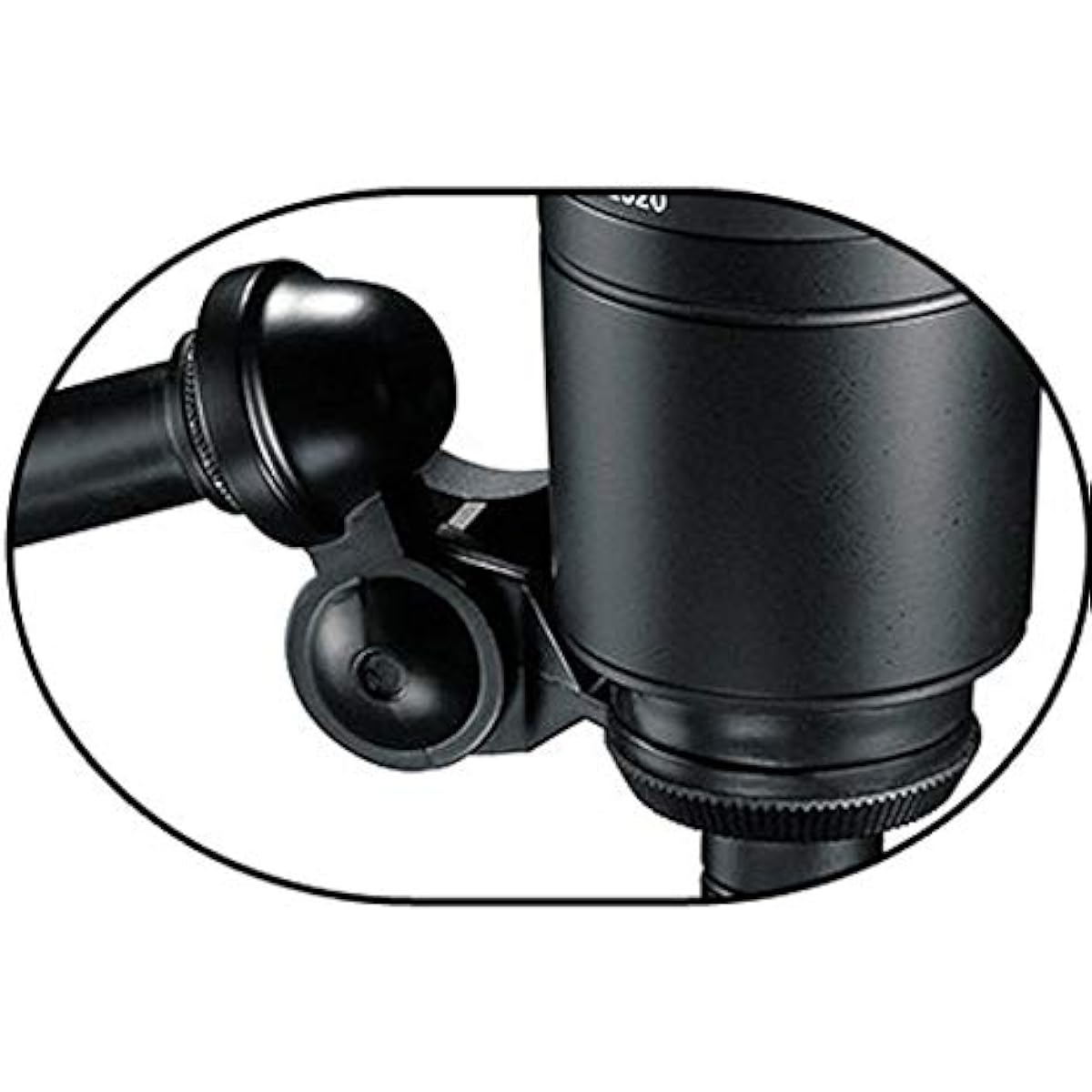 AT2020 Condenser Microphone Safe Starting Tabletop Set 02-3m Genuine Microphone Cable, Pop Blocker, Tabletop Stand Included -