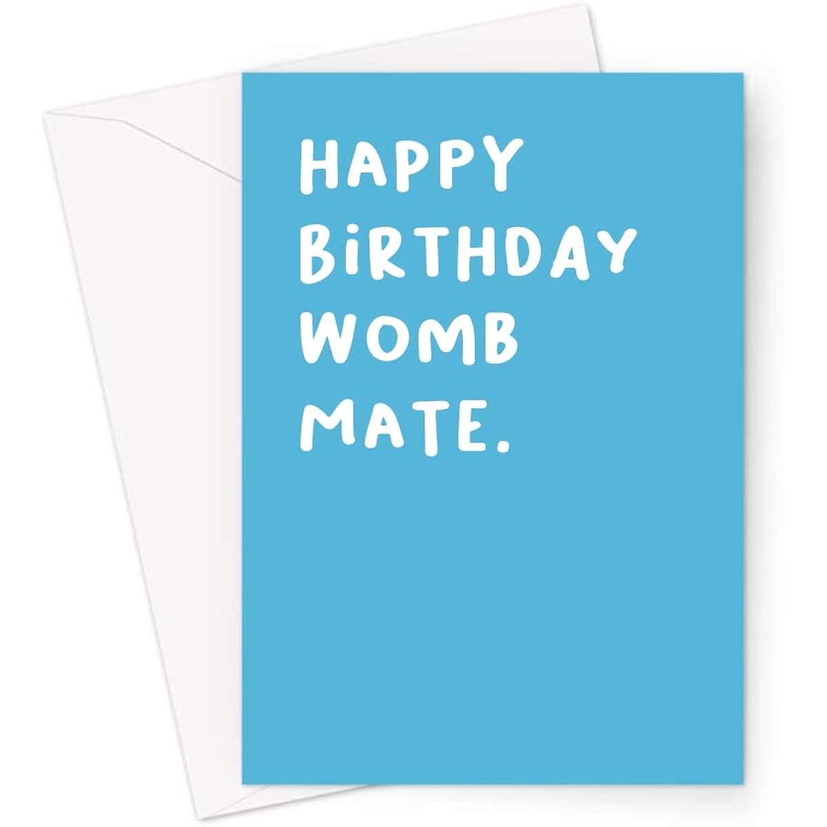 Happy Birthday Womb Mate Greeting Card | Blue Birthday Card for Twin Funny Twin Birthday Card Twin Brother Twin Birthday Wombmate