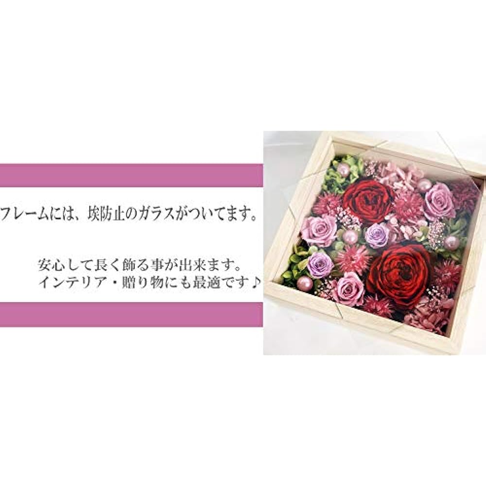 Fradeco Preserved Flower [Fool] (Red)