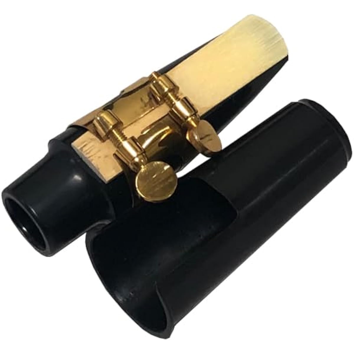 Alto Saxophone Beginner Set Saxophone Saxophone Wind Instrument Gold Engraved Special Case Included
