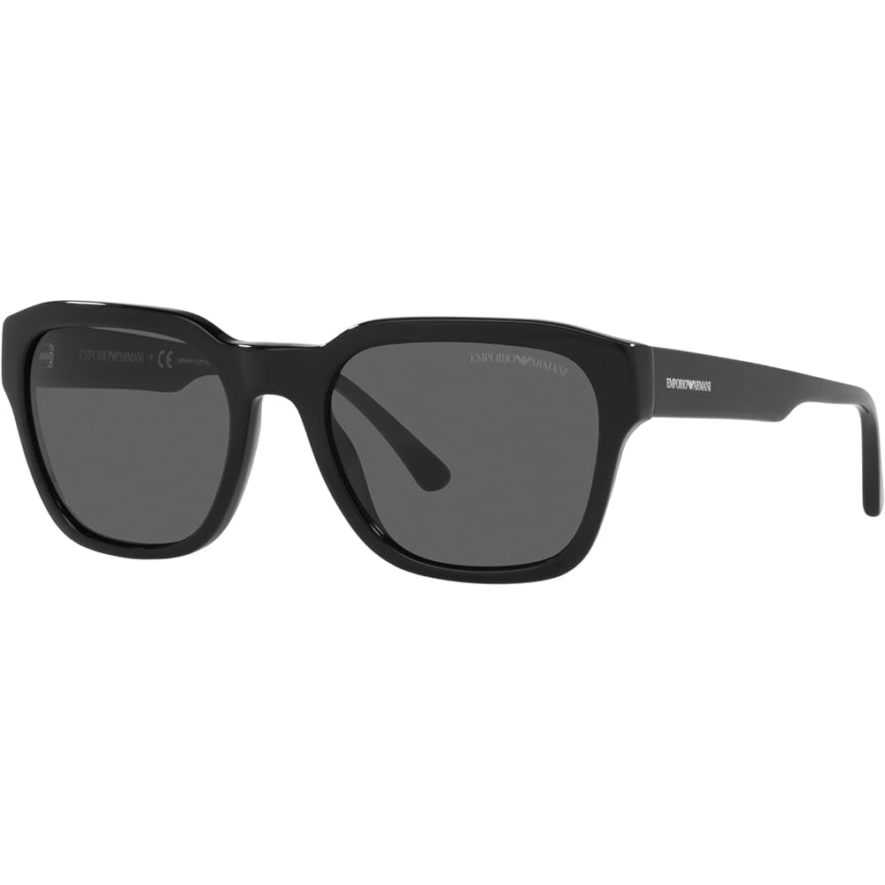 [Emporio Armani] Sunglasses EA4175F