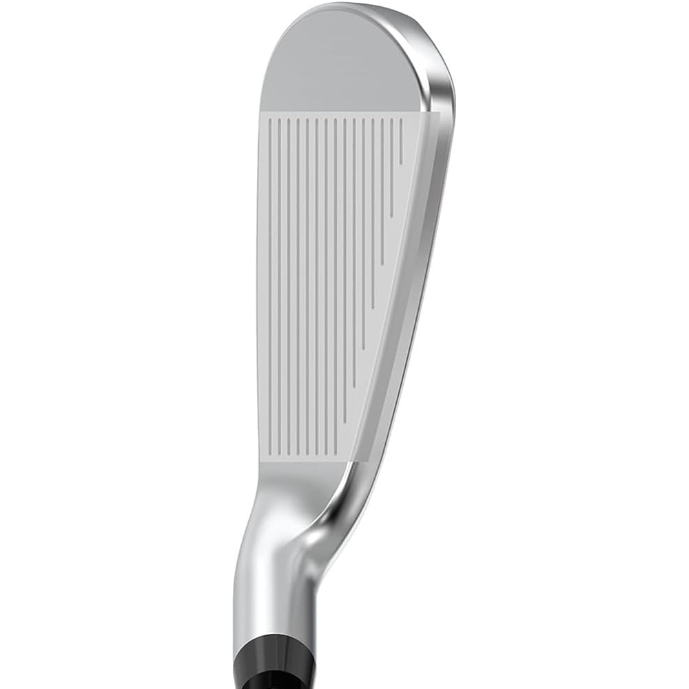 DUNLOP XXIO X Golf Iron 2023 Model DG95 Steel Shaft [Model with catalog genuine shaft installed] Men's Right Golf Club