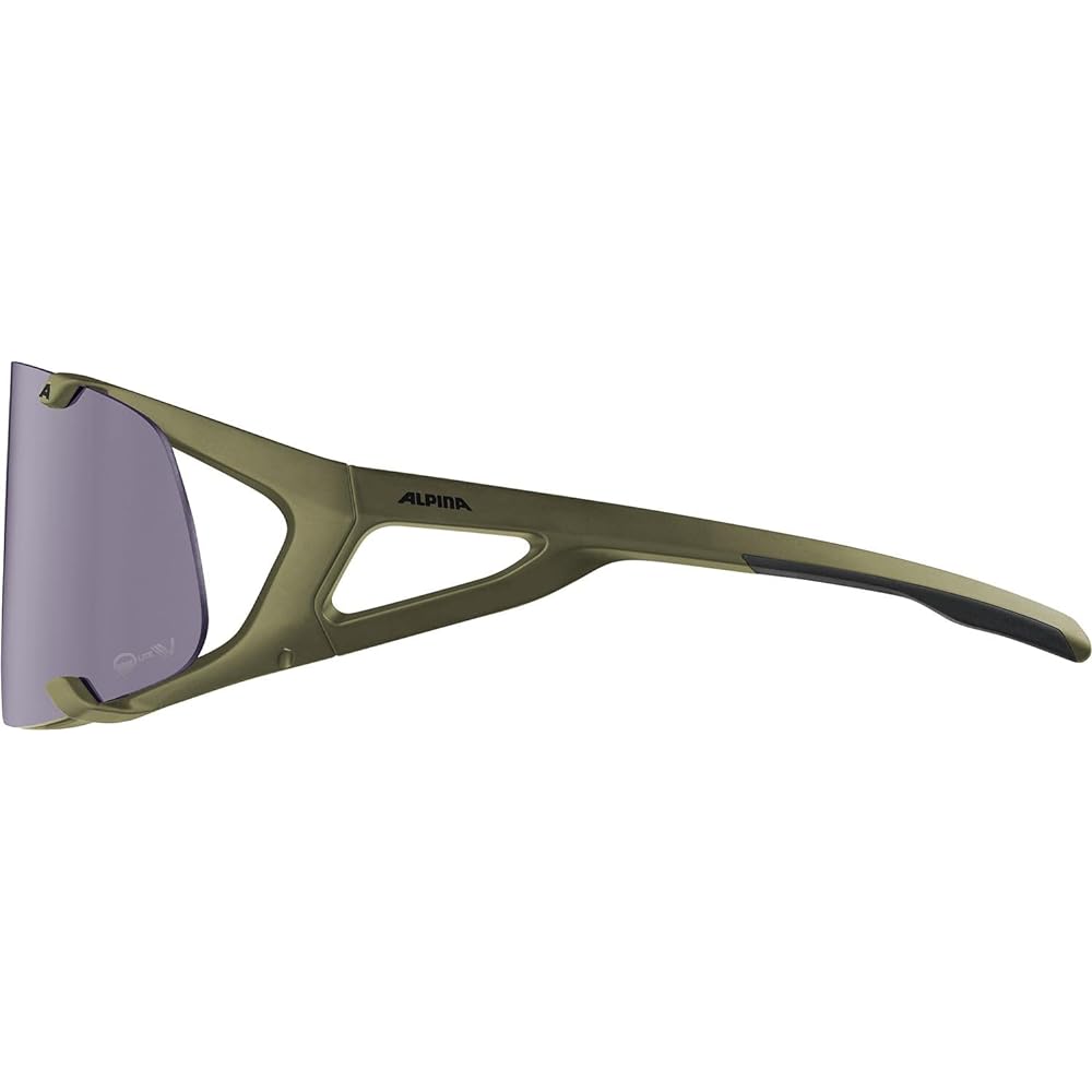 [Alpina] Sports Sunglasses Dimmable High Contrast Anti-Fog Q-LITE V One Size