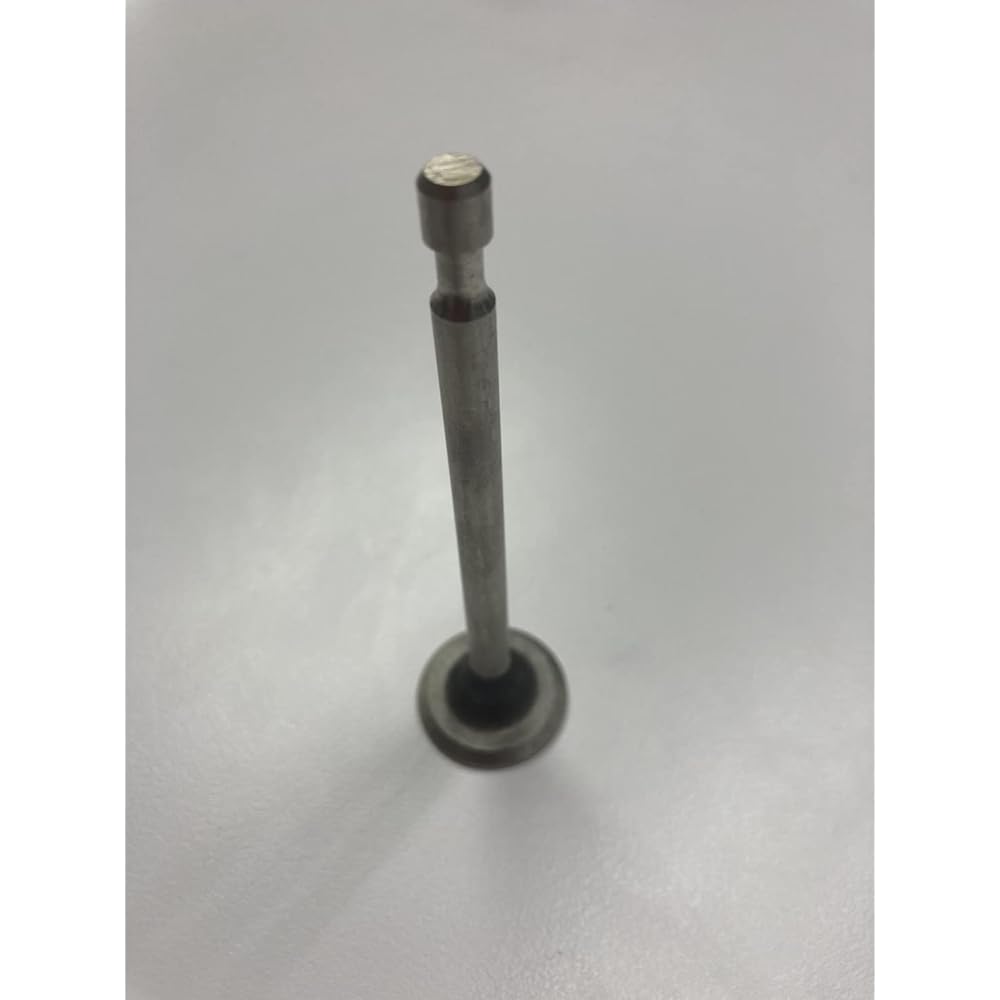 GardenPal Exhaust Valve, Valve EX B&S 5HP OEM 494191/260860/211119S Replacement