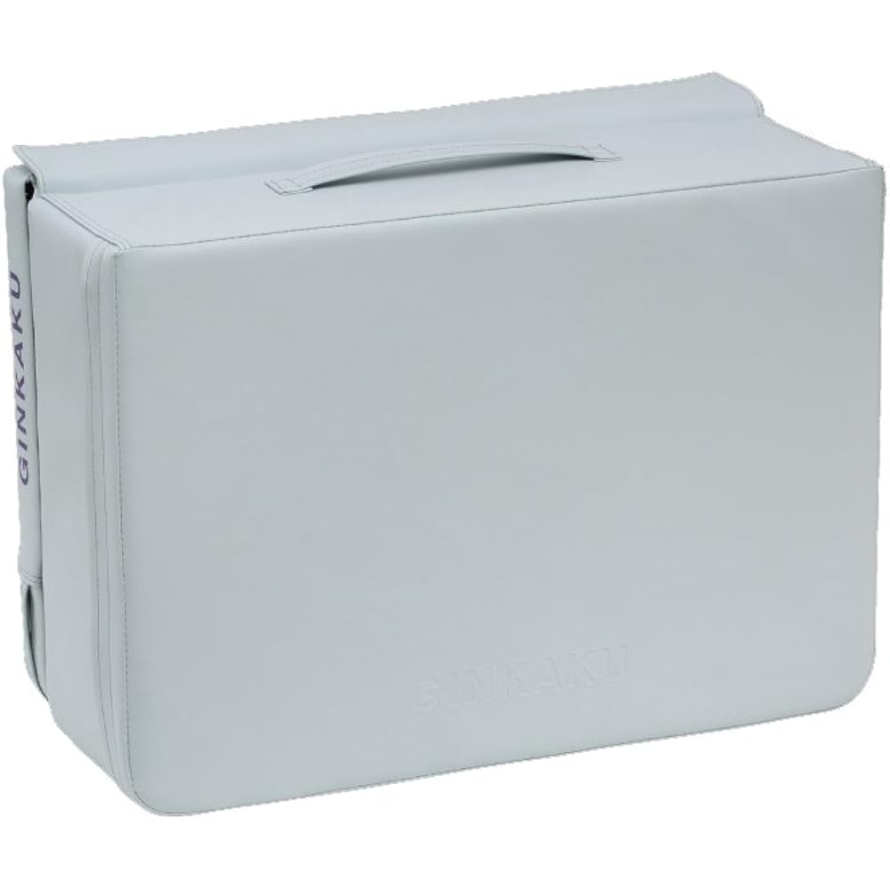 GLOBERIDE G-233GINKAKU cushion BIG light gray G-233 light gray