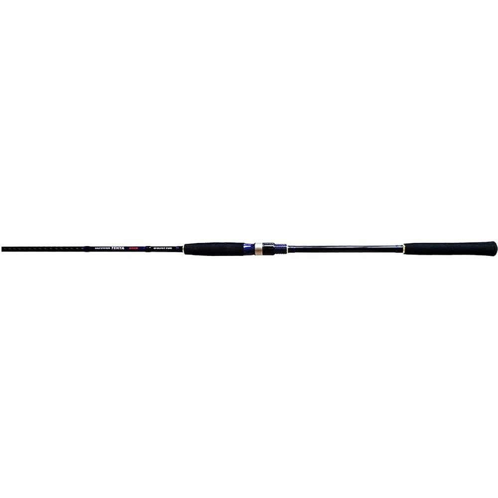 Glory Fish Rod Salt System Tenya Red Sea Bream