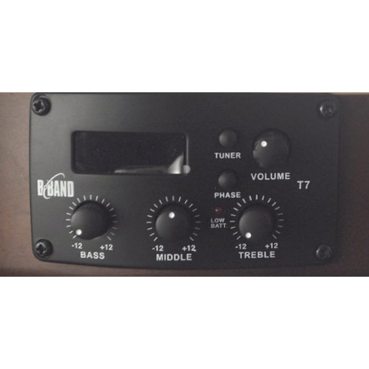 PLAYTECH Electric Gut Guitar EC800