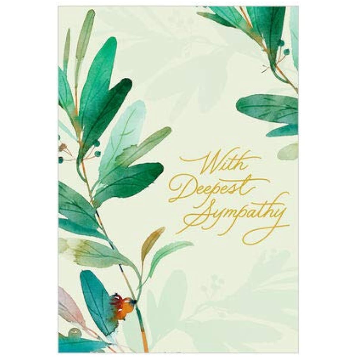 Hallmark Business (25 Pack) Sympathy Cards (Peaceful Plants) for Customers and Employees