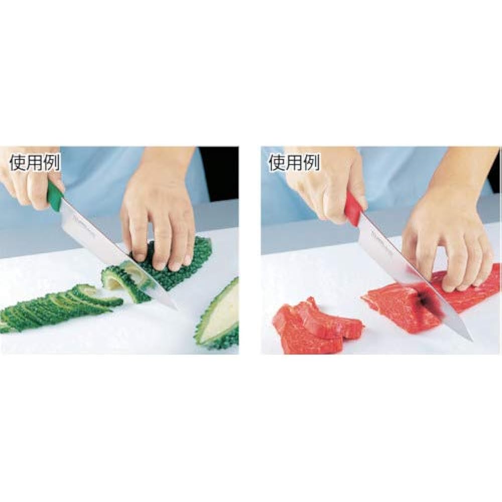 Tojiro Gyuto 270mm Green Made in Japan Molybdenum Vanadium Steel Double Edge Chef Knife that can be used not only for cutting meat but also for cooking fish and vegetables Antibacterial handle HACCP compatible TOJIR Color F-238G